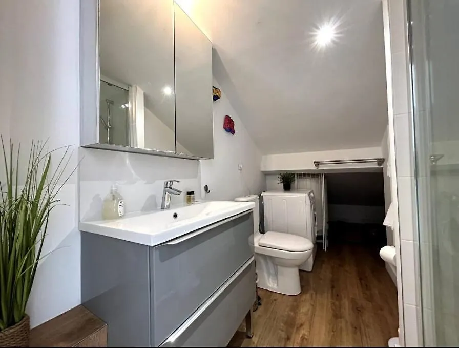Daire Rachais Ci - Lyon 2 - Quiet Comfortable And Bright Studio In Garibaldi Fransa